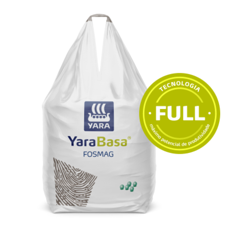 YaraBasa