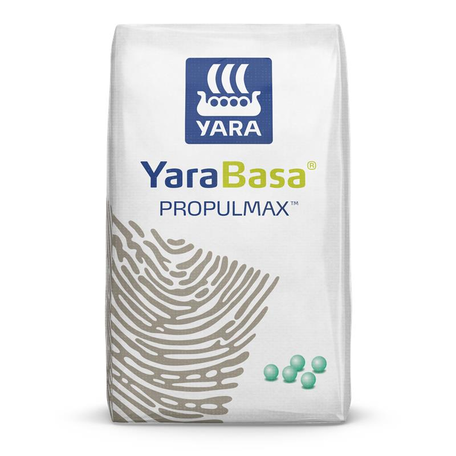 yarabasa