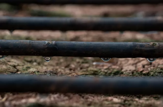  Manejo de Fertirrigação — Dicas para uma Irrigação Eficiente