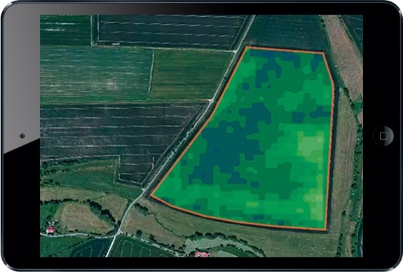 Tela do Atfarm com sele&ccedil;&atilde;o de &aacute;rea