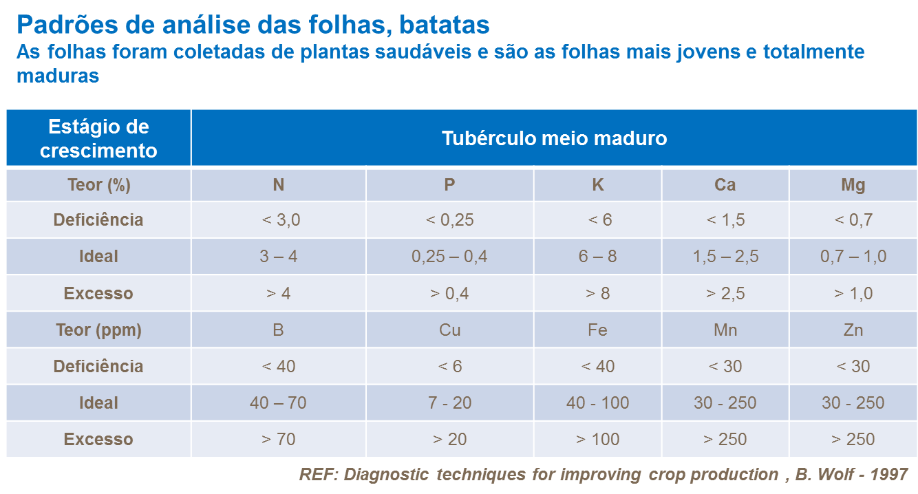 Padr&otilde;es de an&aacute;lise das folhas