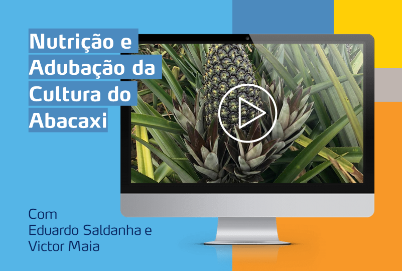 card com computador com imagem de uma cultura