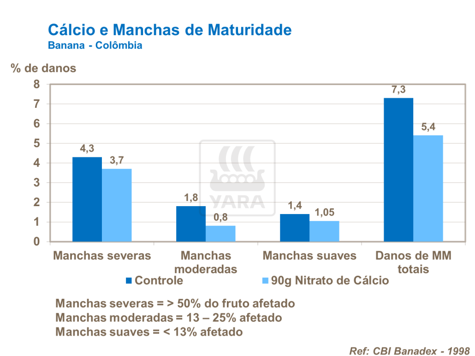 C&aacute;lcio e manchas de maturidade