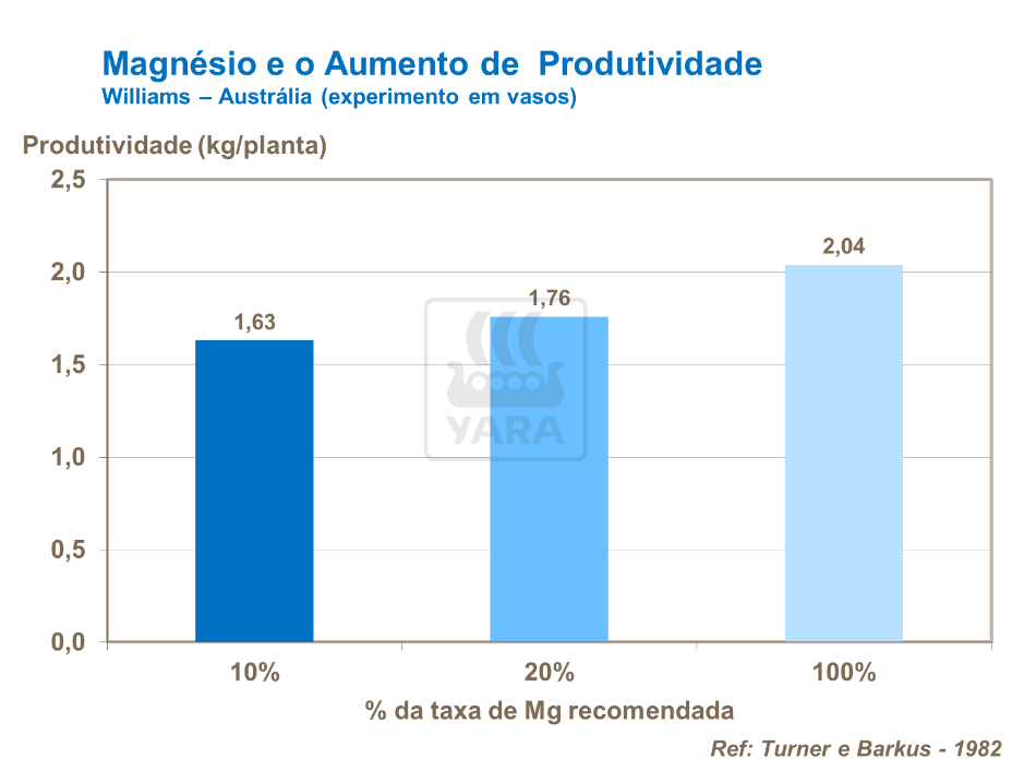 Magn&eacute;sio e produtividade