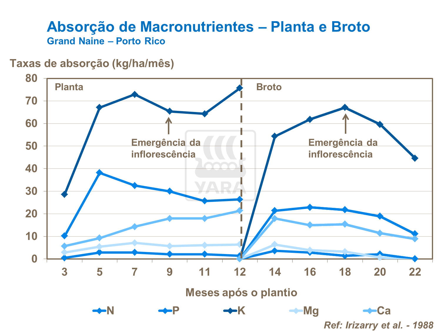 Absor&ccedil;&atilde;o de macronutrientes