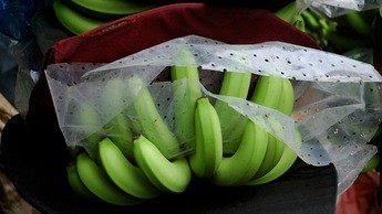 Banana - c&aacute;lcio