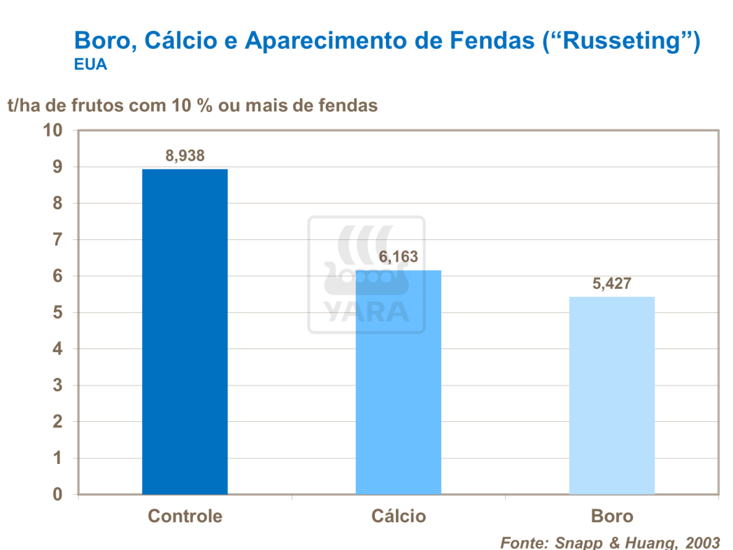 Boro e C&aacute;lcio