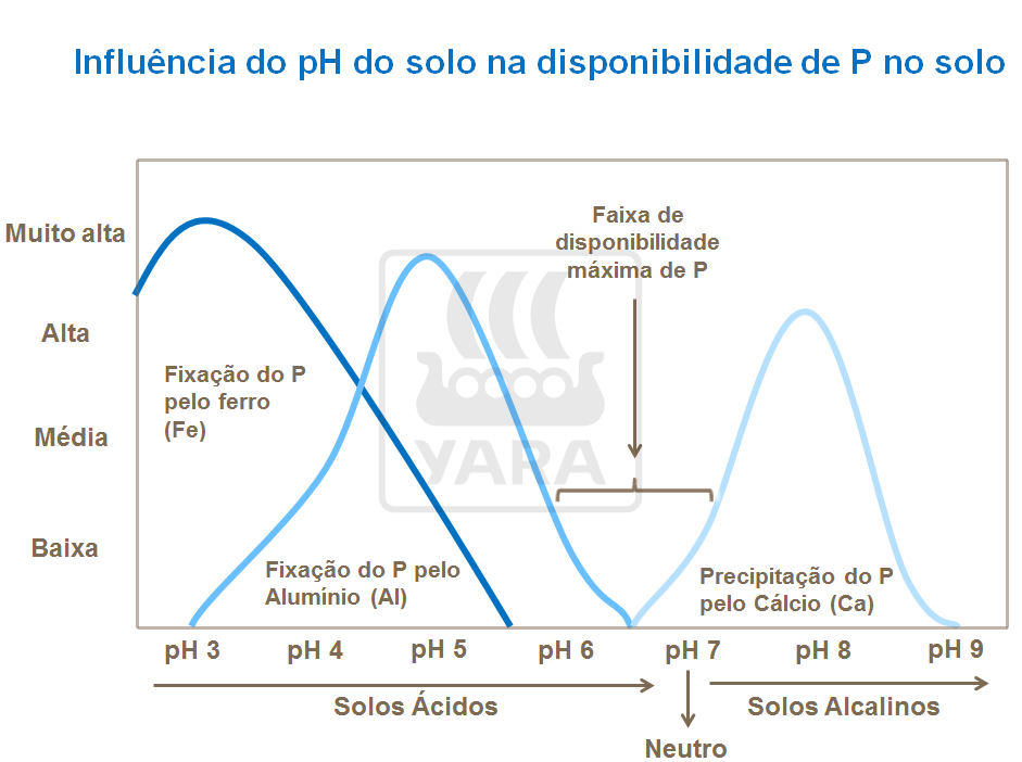 Influ&ecirc;ncia Ph no solo