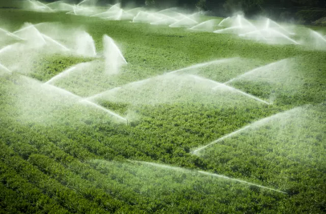  Fertirrigação e Sustentabilidade na Agricultura Moderna