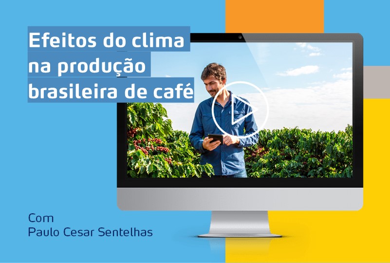 Banner Webinar Café