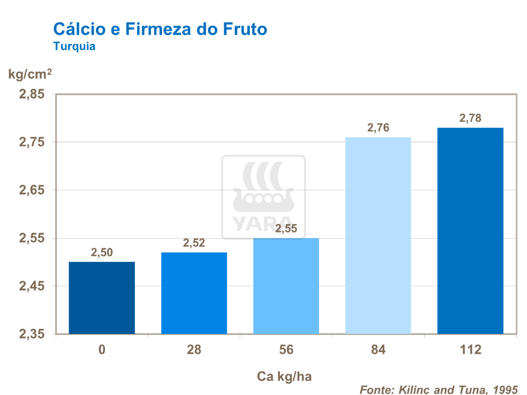 C&aacute;lcio e firmeza do fruto