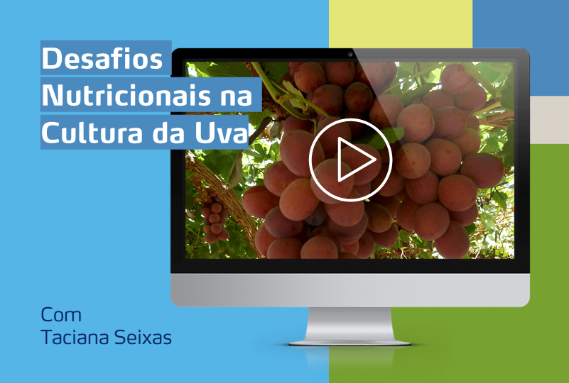 card com computador com imagem de uma cultura