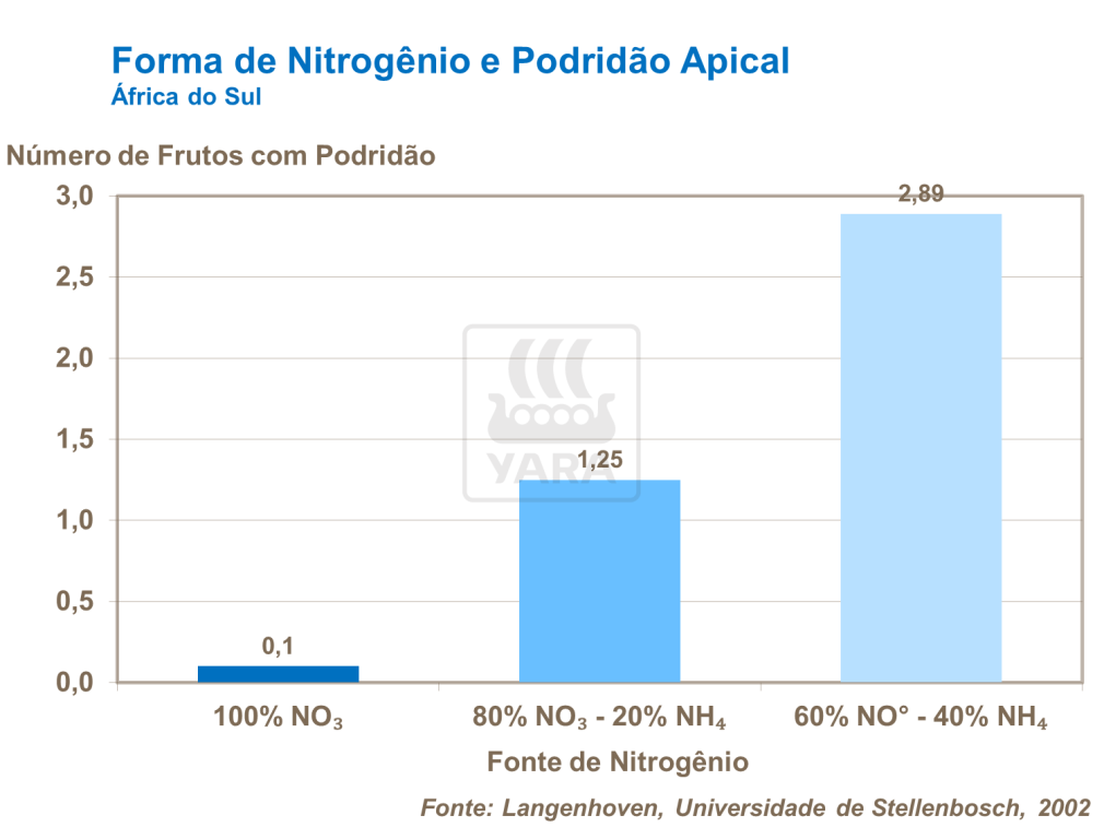 Forma de nitrog&ecirc;nio e podrid&atilde;o apical