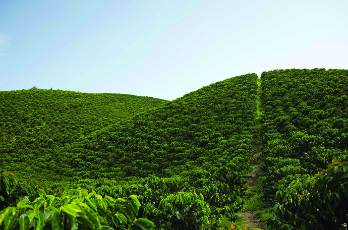 Produtor e consultora na lavoura de soja