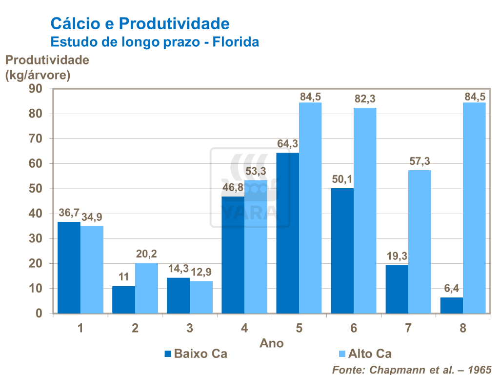 C&aacute;lcio e produtividade