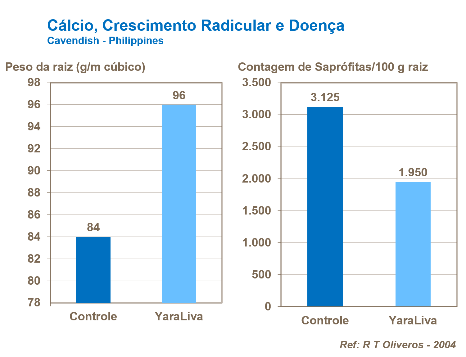 C&aacute;lcio, crescimento radicular e doen&ccedil;a