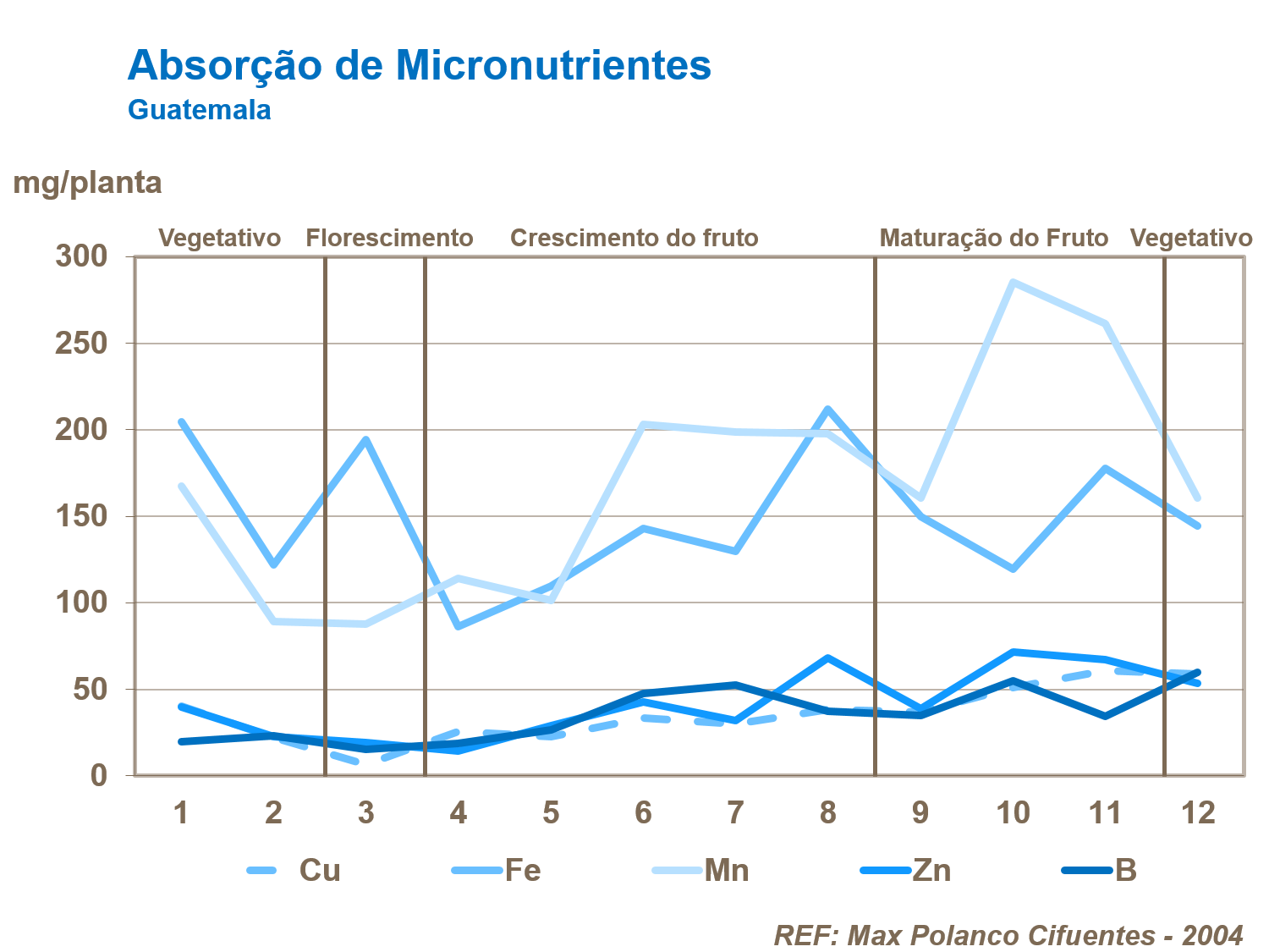 Absor&ccedil;&atilde;o de micronutrientes