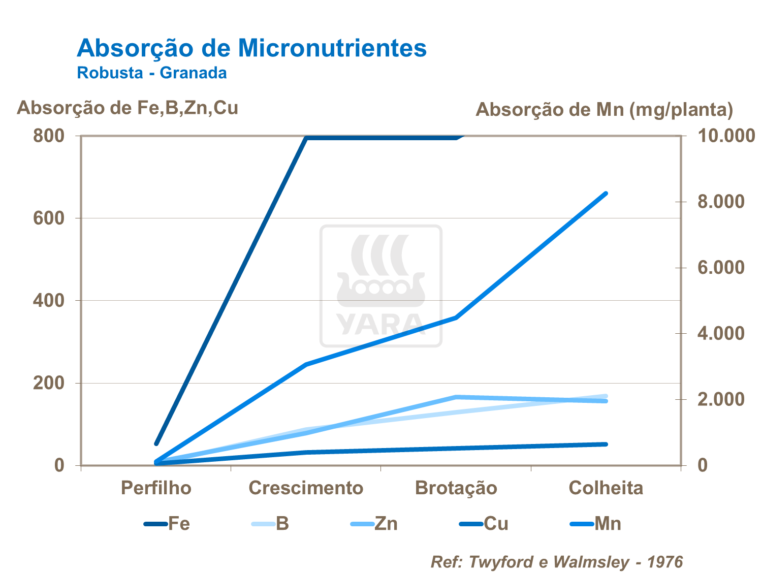 Absor&ccedil;&atilde;o de micronutrientes