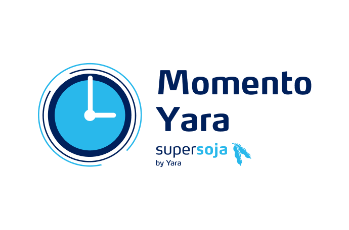 Momento Yara
