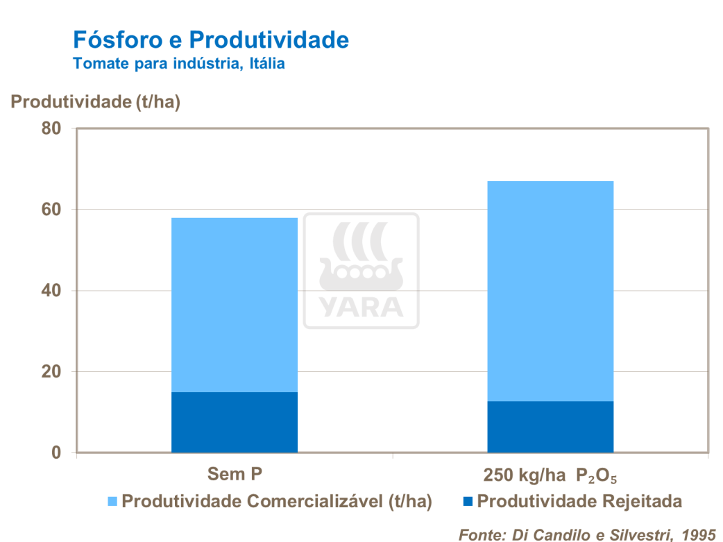 F&oacute;sforo e produtividade