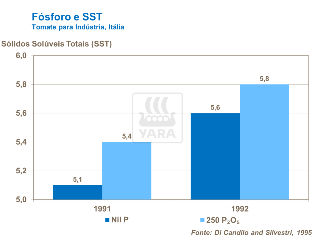 F&oacute;sforo e SST