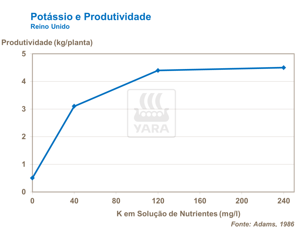 Pot&aacute;ssio e produtividade