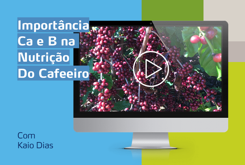 imagem de um computador com foto de café