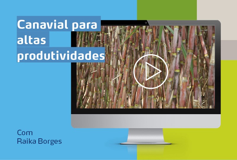 Banner webinar canavial