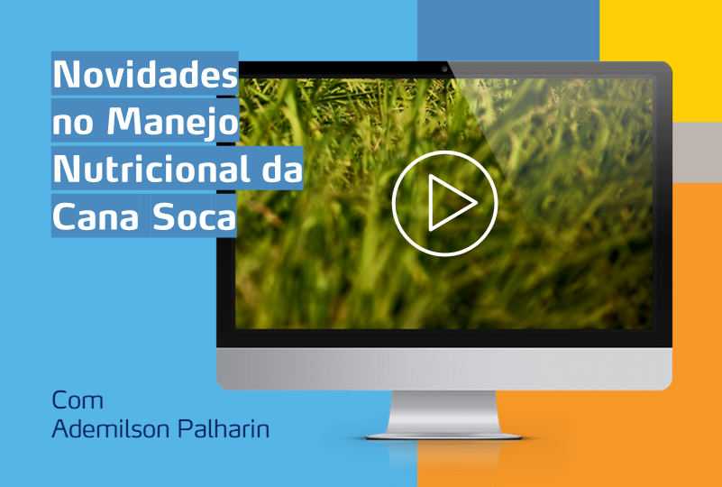 imagem de um computador com foto de cana