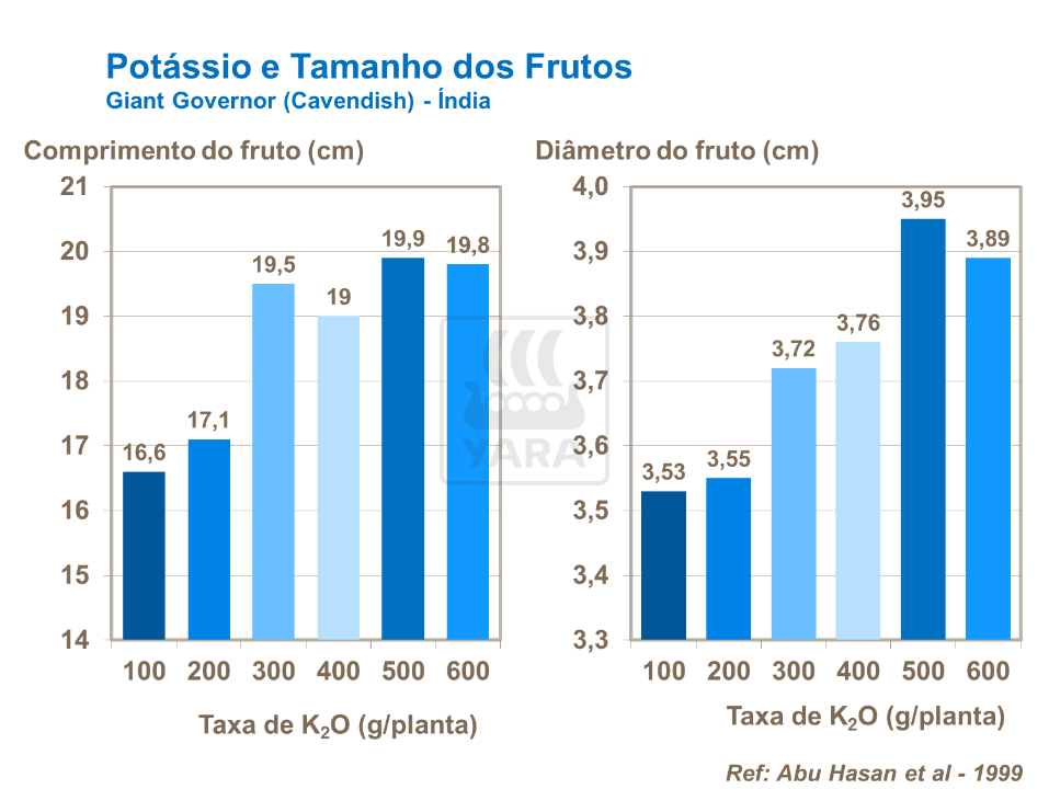 Pot&aacute;ssio e tamanho dos frutos