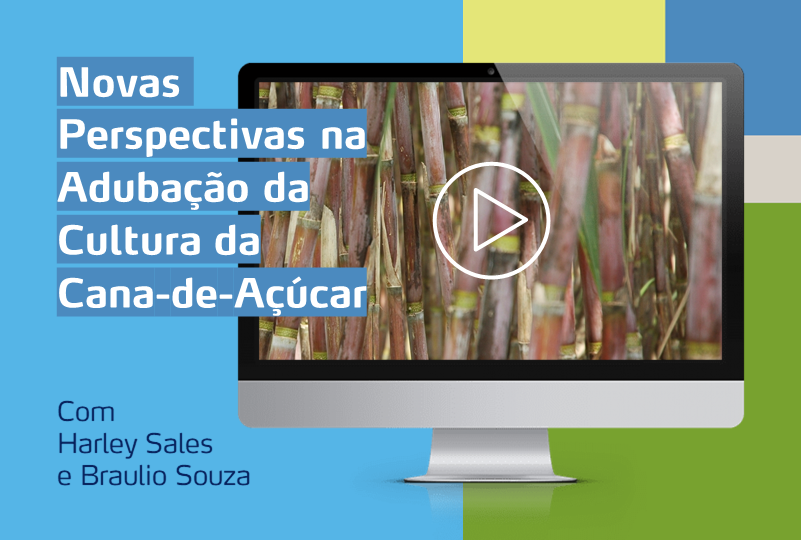 imagem de um computador com foto de cana