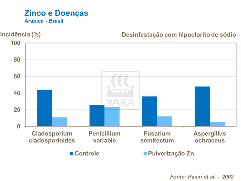 Zinco e doen&ccedil;as