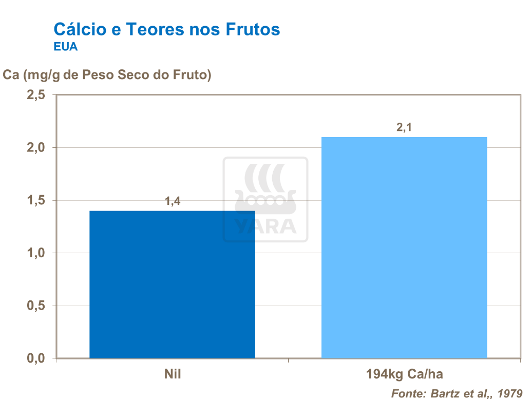 c&aacute;lcio e teor nos frutos