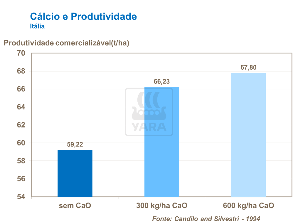 C&aacute;lcio e produtividade