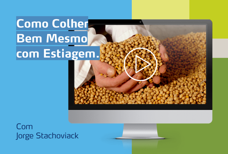 monitor com foto de soja