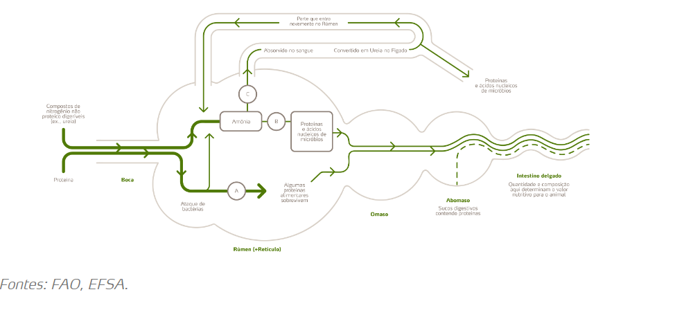 Diagrama

Descri&ccedil;&atilde;o gerada automaticamente