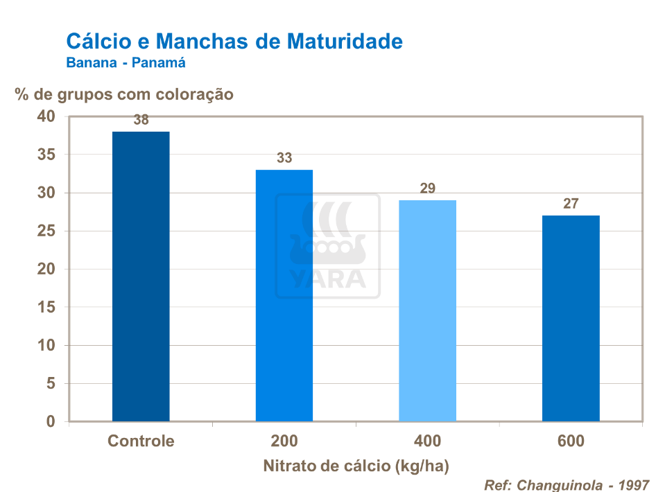 C&aacute;lcio e manchas de maturidade