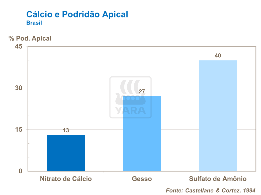 C&aacute;lcio e podrid&atilde;o apical