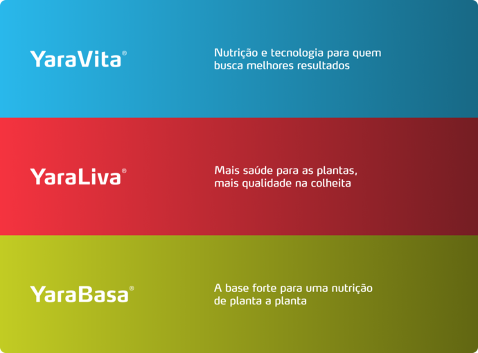 Imagem de pack de produtos do programa nutricional do Alface