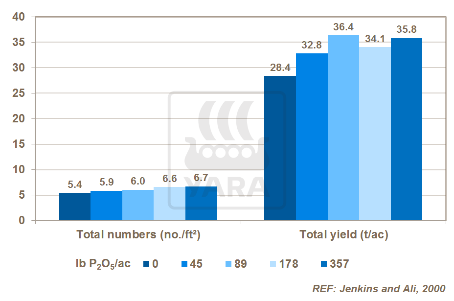 F&oacute;sforo e produtividade