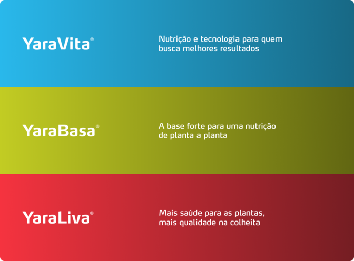 Imagem de pack de produtos do programa nutricional da cenoura
