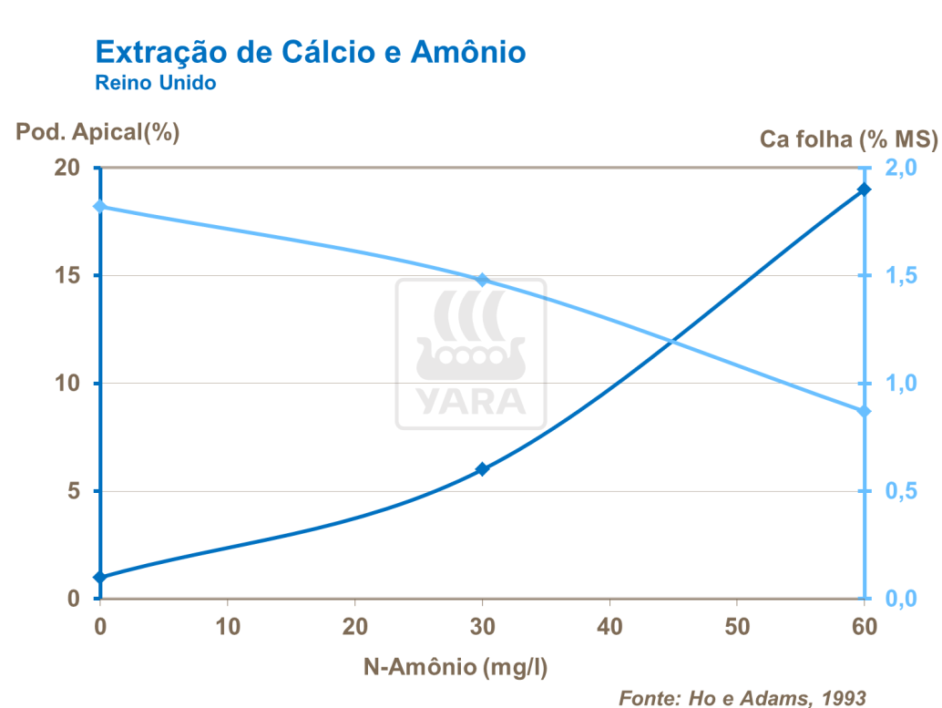 Extra&ccedil;&atilde;o de c&aacute;lcio e am&ocirc;nio