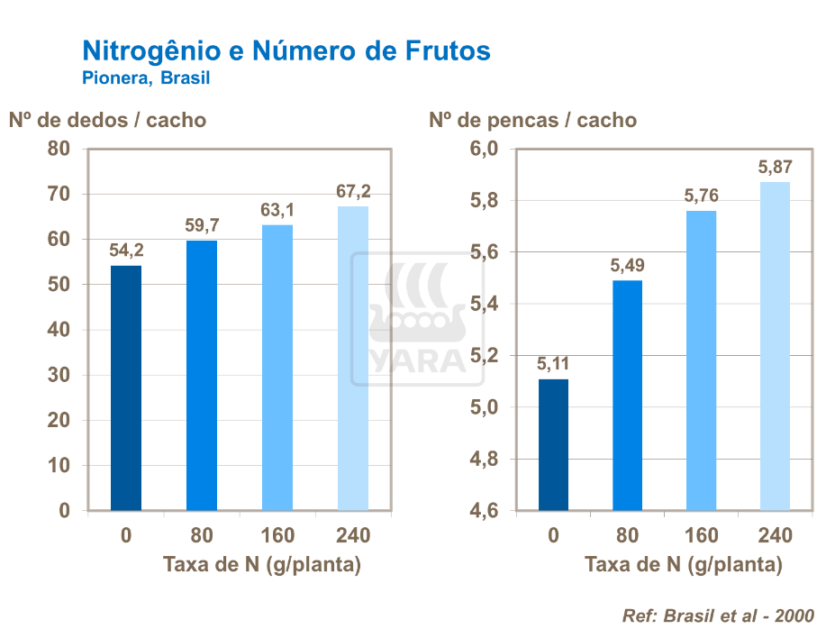 Nitrog&ecirc;nio e n&uacute;mero de frutos