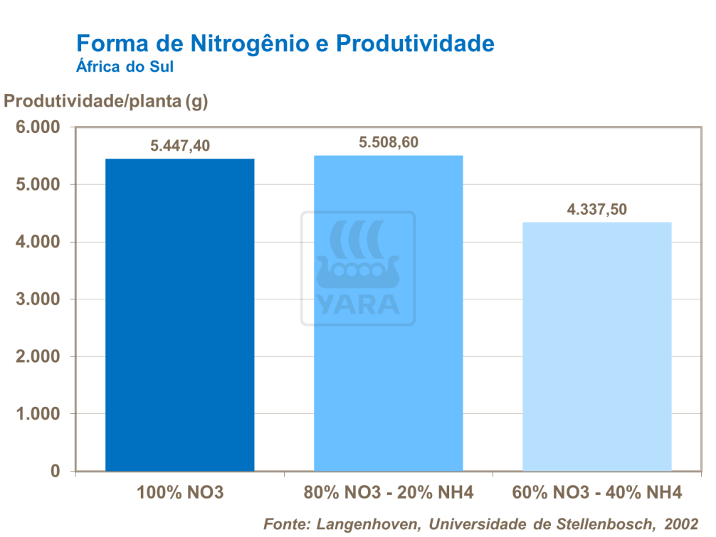Forma de nitrog&ecirc;nio