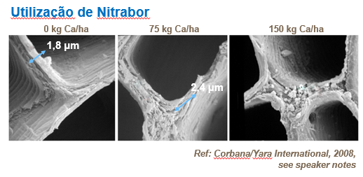Utiliza&ccedil;&atilde;o de Nitrabor