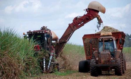 Produ&ccedil;&atilde;o