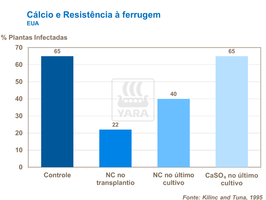 C&aacute;lcio e resist&ecirc;ncia a ferrugem