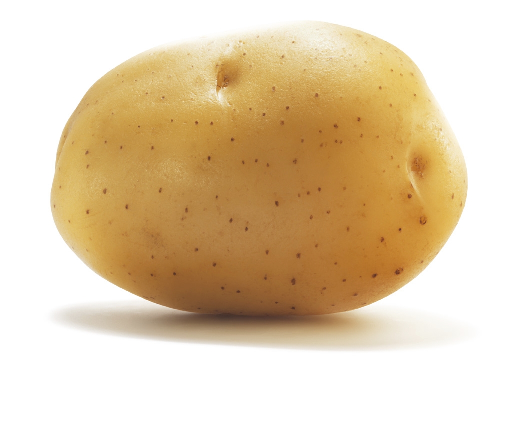 imagem de uma batata em um fundo branco