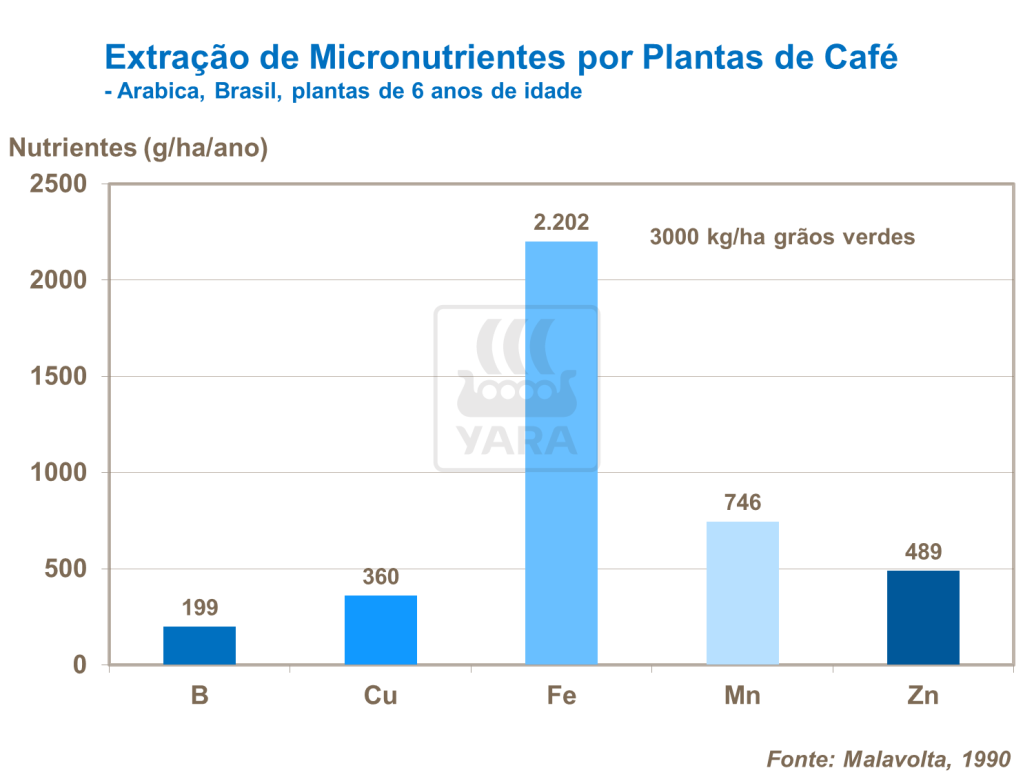extra&ccedil;&atilde;o de micronutrientes