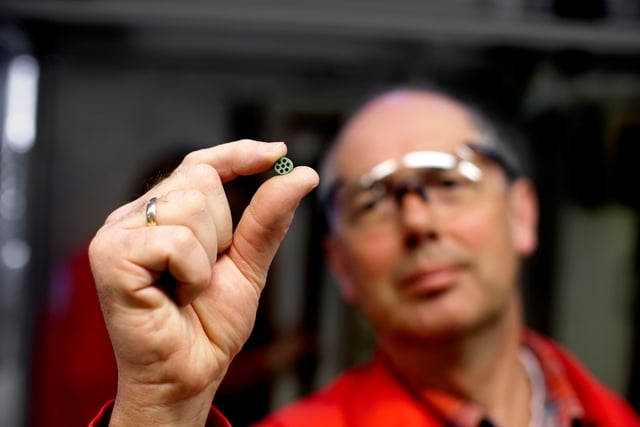 Produtores sorrindo na plantação